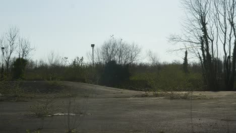 overview of broken and disused car park being reclaimed by nature with weeds and bushes growing out of tarmac with old floodlights and trees. post apocalypctic setting.