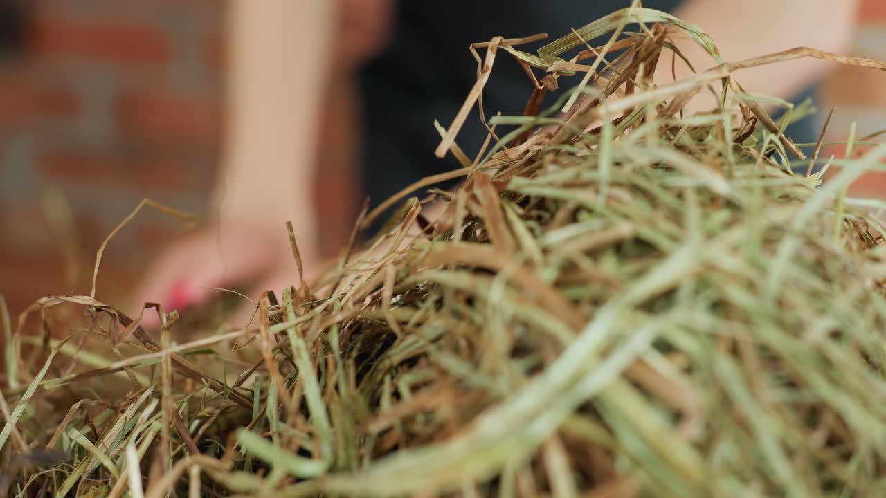 Florist handles pile of dried grass from cardboard box in rustic workspace, preparing natural material for creative floral arrangement and decorative craft project with organic earthy texture design