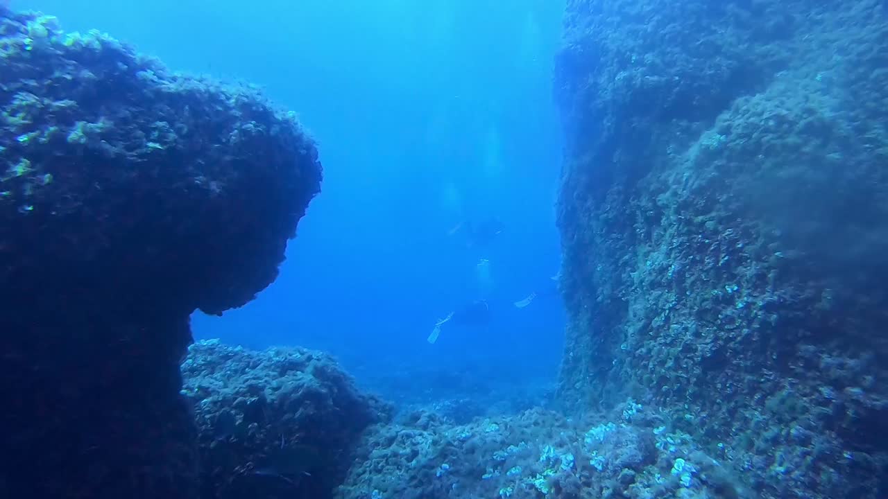 pov de buzo disfrutando de los arrecifes de coral bajo el agua de fornells