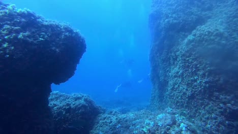 POV-De-Buceador-Disfrutando-De-Los-Arrecifes-De-Coral-Bajo-El-Agua-De-Fornells