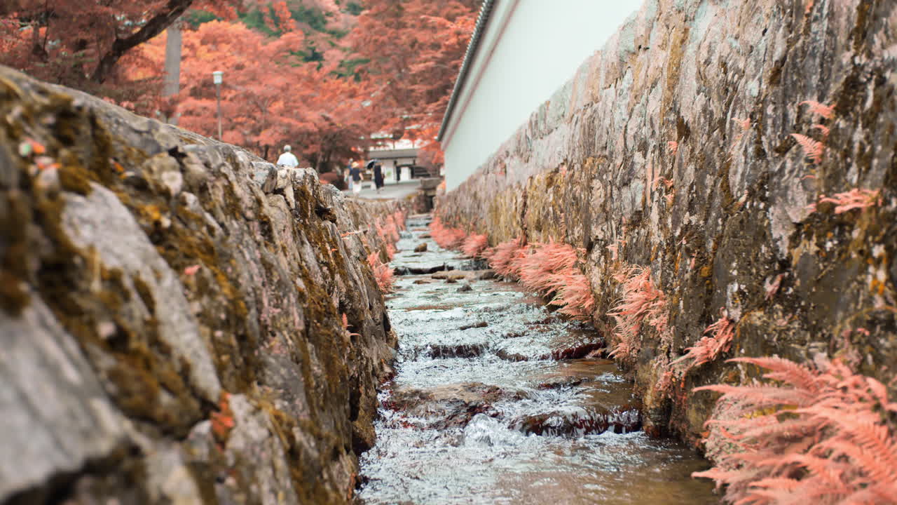 pequeño río que fluye junto a una pared que rodea un templo en kyoto, japón iluminación suave
