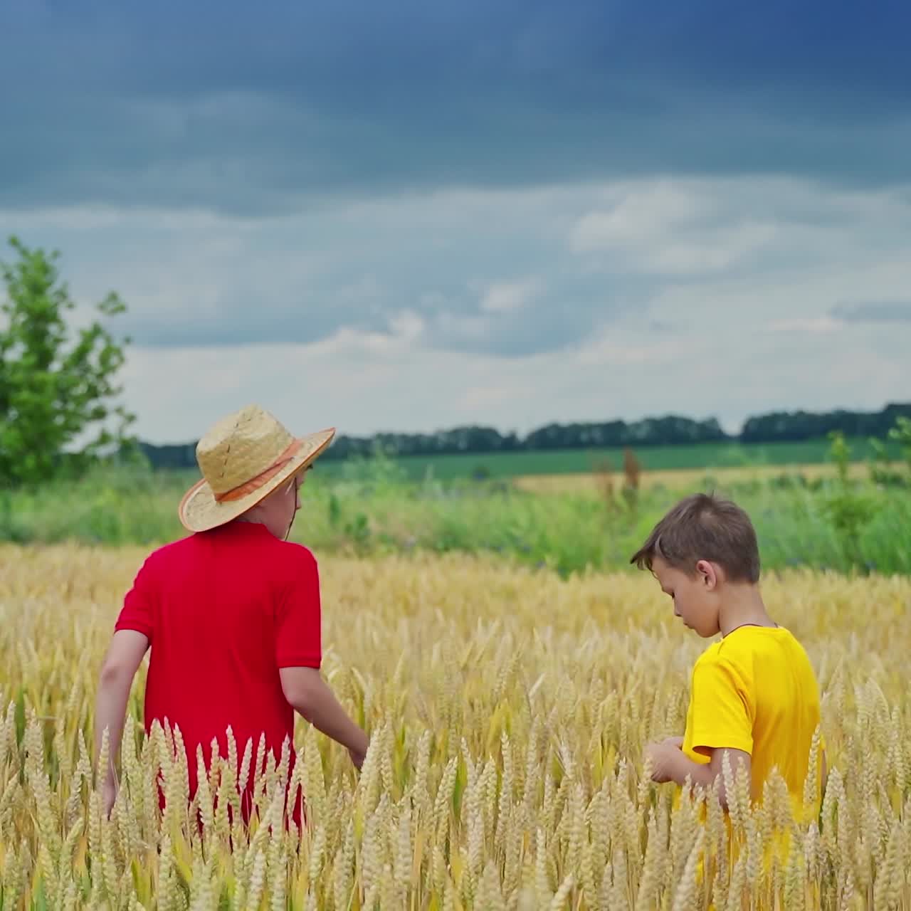 Happy child in wheat field
