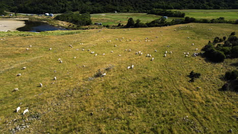 Toma-Aérea-De-La-Bahía-De-Purakaunui,-Una-Hermosa-Tierra-En-La-Zona-Costera-De-Catlins-|-Otago,-Nueva-Zelanda