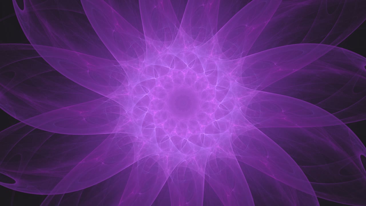 mandala de flores y pétalos fractales de color púrpura abstracto girando en espiral en círculos - animación 3d sin parar y sin interrupciones
