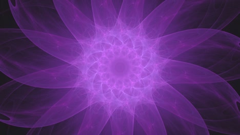 Abstrakte-Violette-Fraktalblume-Und-Blütenblätter-Mandala,-Die-Sich-Im-Kreis-Windet---Nahtlose,-Ununterbrochene-3D-Animation