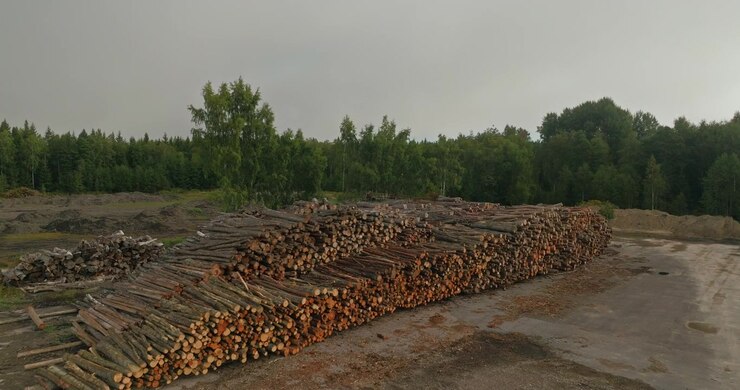 Drone approaches and flies over neatly stacked logs at a Swedish forestry site, revealing a dense forest behind the timber yard and highlighting logging and wood production.