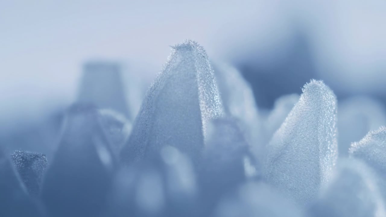 Una vista macro estrema dal basso mostra punte di petali o foglie triangolari ricoperte da minuscole goccioline a forma di perla o cristalli di brina, creando bordi chiari e texturizzati, riflessi tenui e un calmo dettaglio naturale astratto.