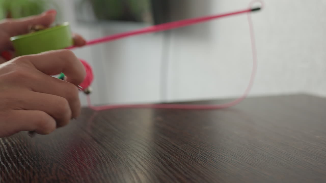 Closeup Hands Assembling Cat Toy, Treats On Wooden Table With Pink Wand, Red String And Green Bowl Owner Arranges Snack Beside Keys And Clips, Calm Indoor Mood, Playful Bonding Scene