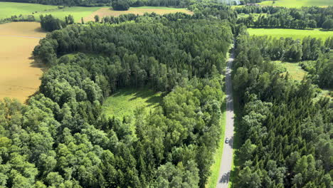 aerial view of lonely car driving along the empty countryside forest road