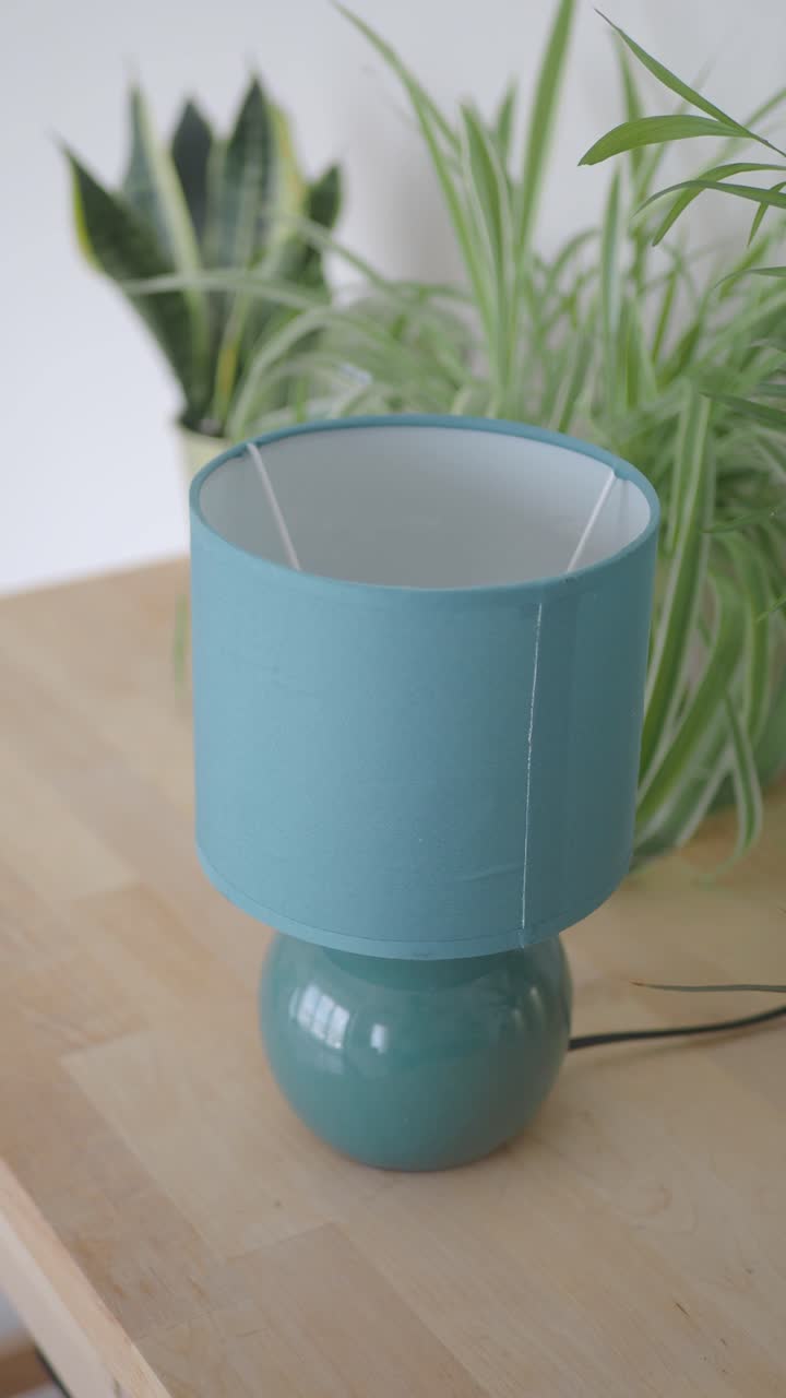 Teal Table Lamp with Green Houseplants on Wooden Surface