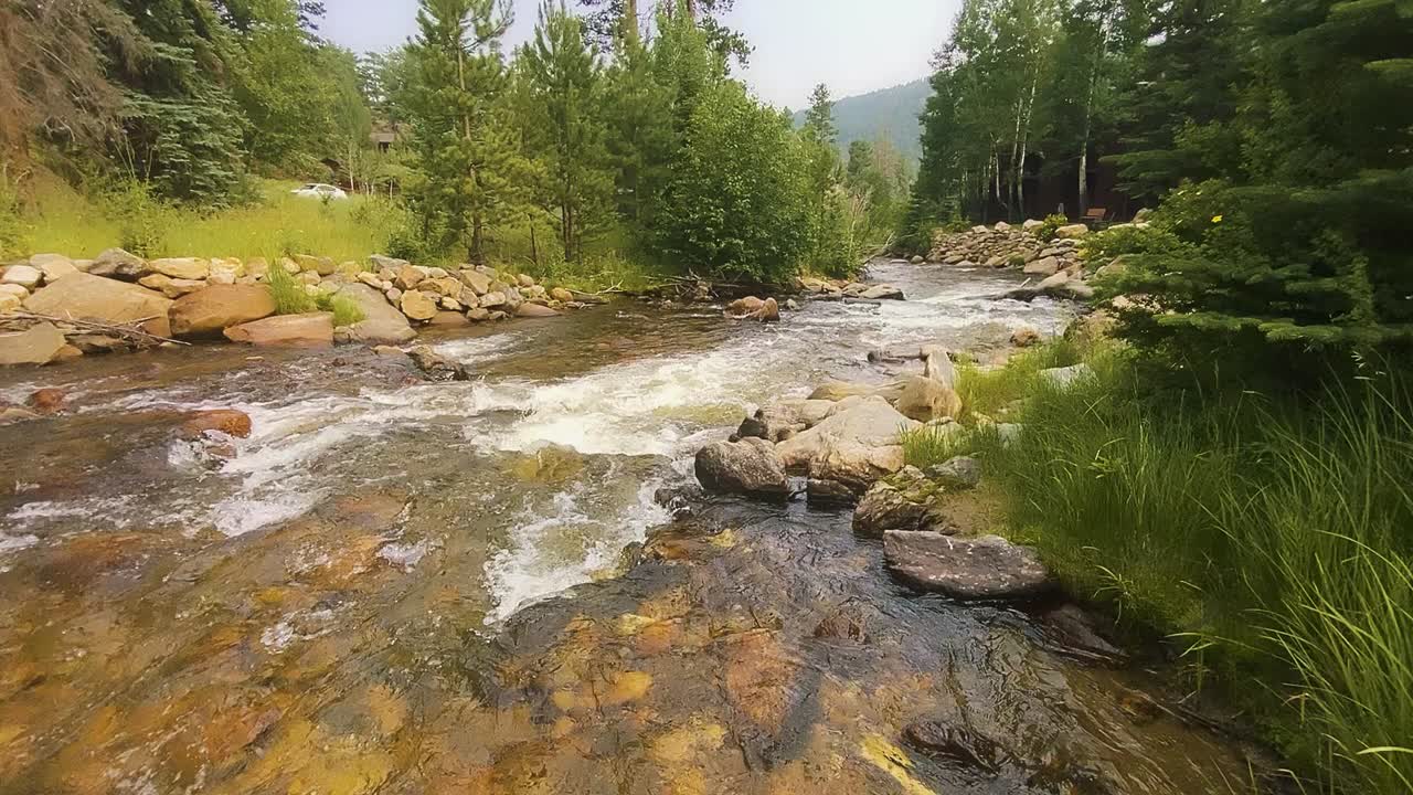 Ruscello di montagna con acqua fresca che scorre tra rocce e vegetazione