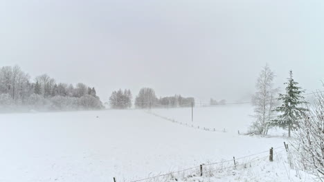 campos agrícolas cubiertos de nieve blanca pura en el paisaje rural, vista de drones de ángulo bajo