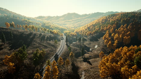 árboles-Con-Follaje-Amarillo-En-Montañas-Nubladas