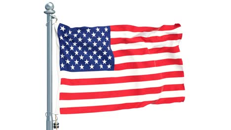 the united states flag waving on white background, animation. 3d rendering