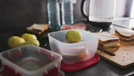 caregiver places sandwich into lunch container while organizing kitchen items during morning meal prep, with apples, plastic boxes, and cutting board visible, showing daily food preparation routine at home