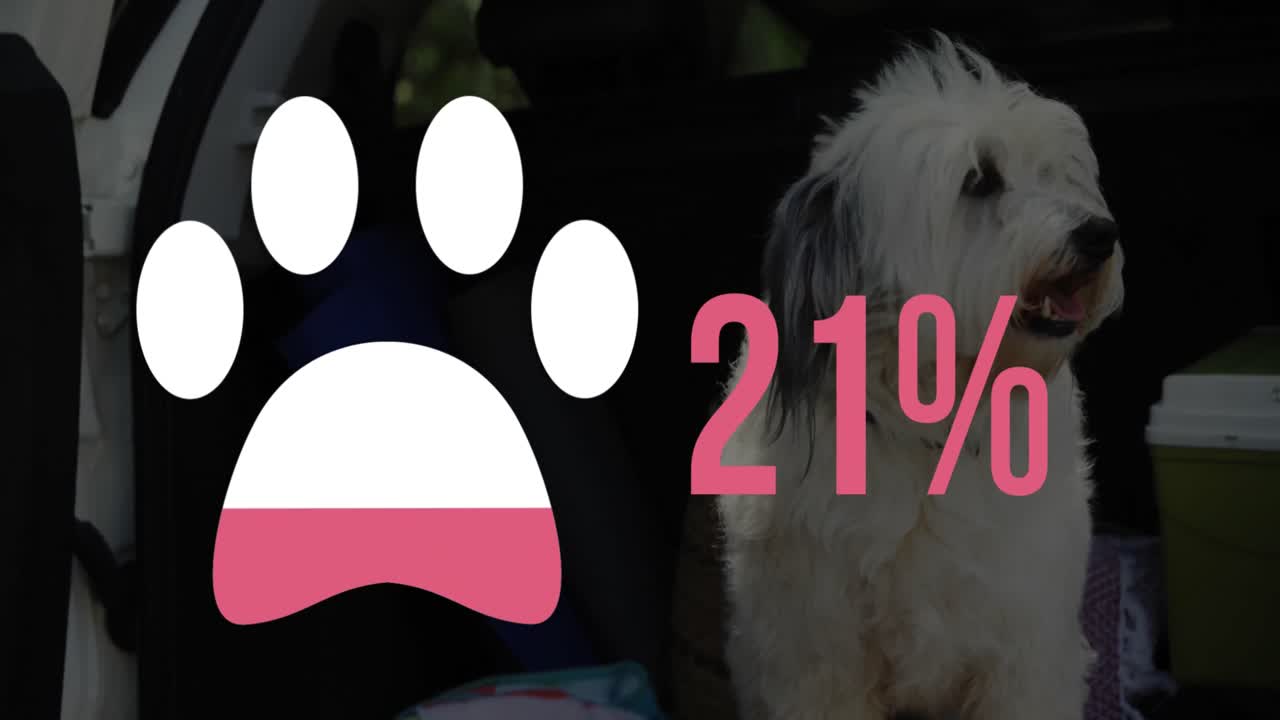 개 발 모양과 색 ⁇ 의 증가하는 비율 4k