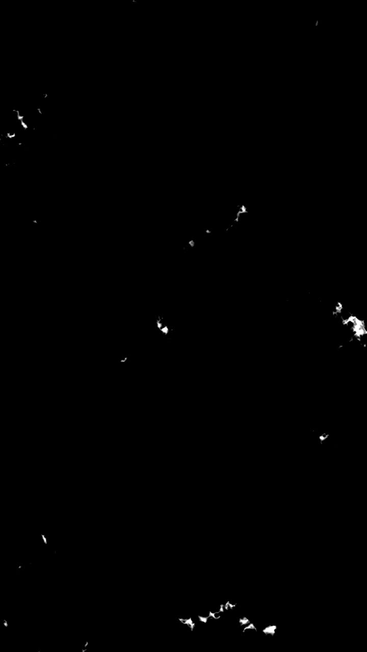Abstract White Particles Moving on Black Background