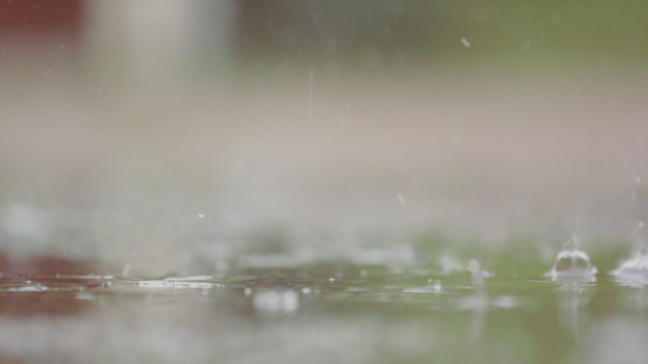 cámara lenta, primer plano - fuertes bailes de lluvia y salpicaduras en charcos
