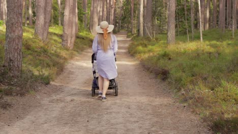 young female with stroller walks on forest road in casual purple dress