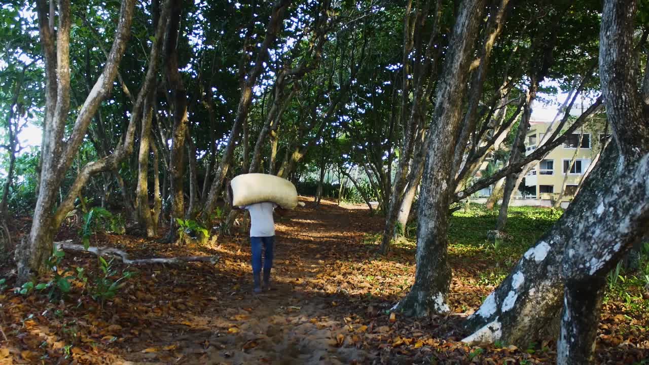 Workers carrying bags along a path full of vegetation.