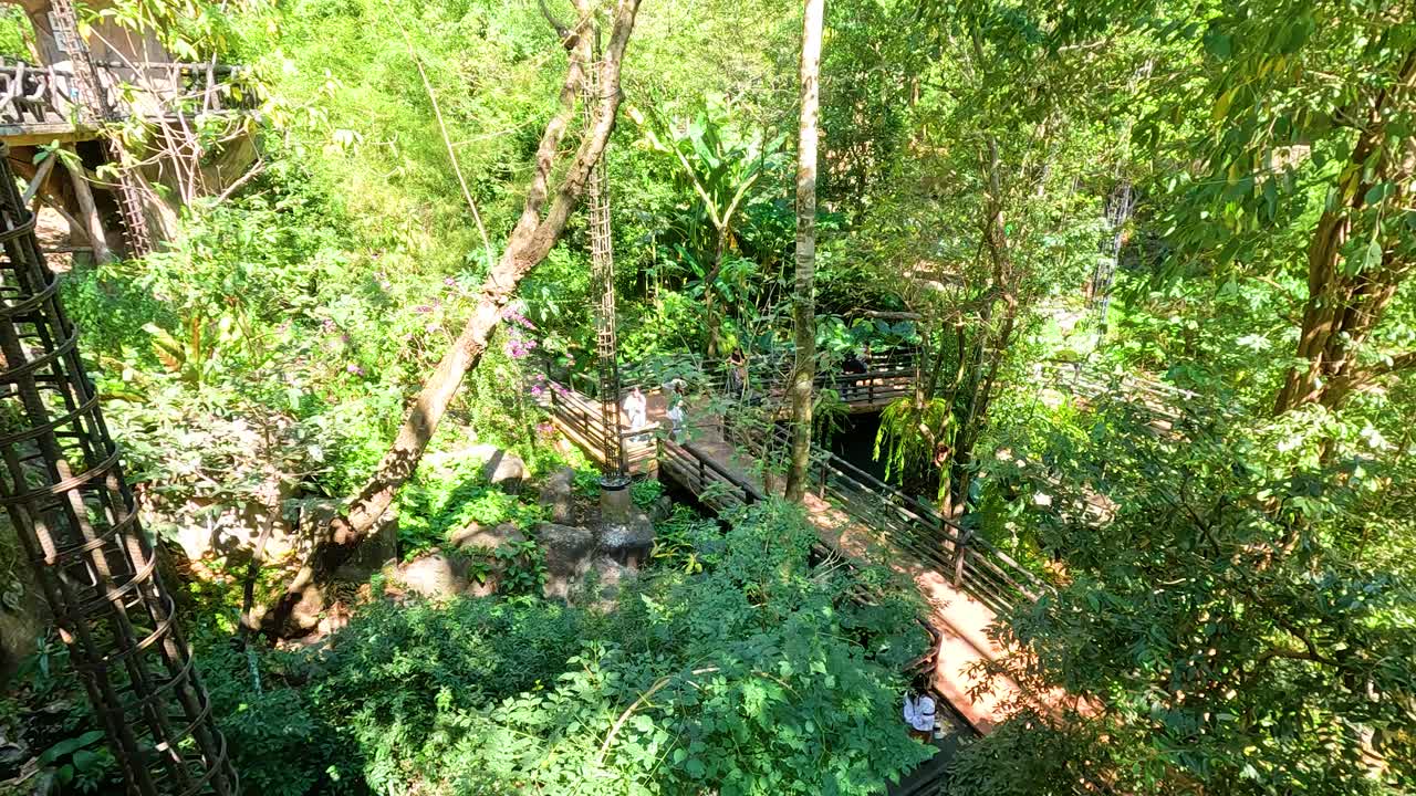 새 들 의  에 있는 울창 한 초록색 과 길 들