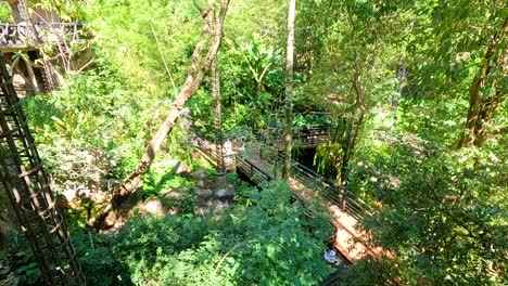 lush greenery and pathways in a bird aviary