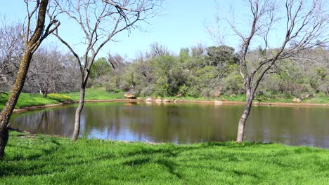 Static-video-of-a-scenic-landscape-on-a-pond-in-the-wilderness