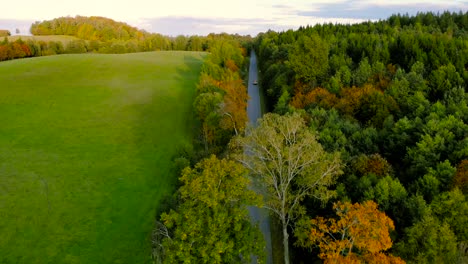 aerial footage over the asphalt road, next to are colorful trees in autumn colors, around the green fields and trees on the horizon, warmth over masuria, poland