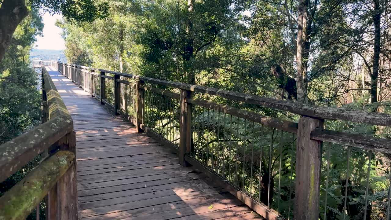 A steady camera glides forward on a wooden bridge surrounded by dense green forest, bright daylight filtering through the trees, revealing distant mountain views