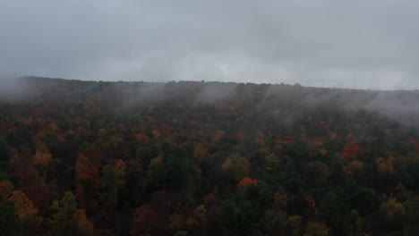 Überfliegen-Von-Nebligen-Baumwipfeln-Im-Herbst.-Sich-Vorwärts-Bewegender-Schuss