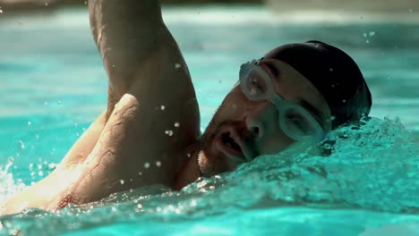 fit man swimming in the pool