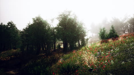 beautiful view of idyllic alpine mountain scenery with blooming meadows