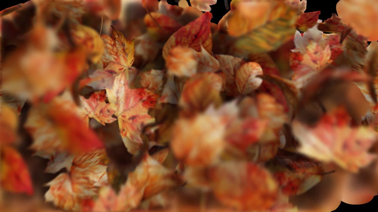 Autumn Leaves Transition or Reveal Element with Alpha Channel