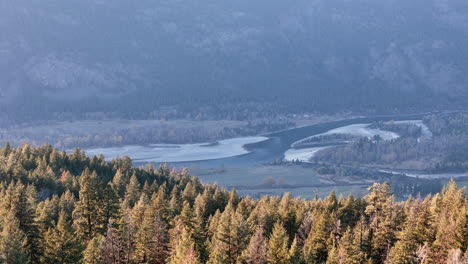 El-Toque-Del-Crepúsculo-En-El-Dosel-Del-Bosque-De-Barrière