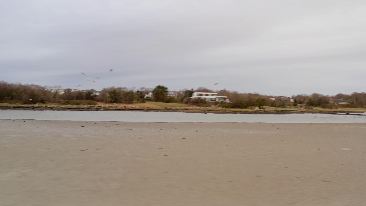A serene beach under a gray sky with soft waves, calm and solitude in a natural setting, orbit around seagull flock, Rusheen Bay Galway Ireland