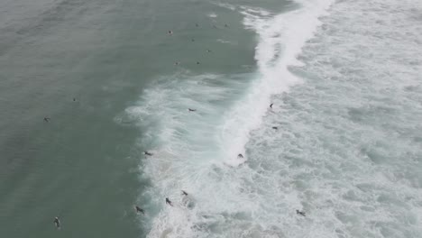 surfers lying on surfboard paddling on the foamy ocean waves at summer bondi beach in sydney, new south wales, australia