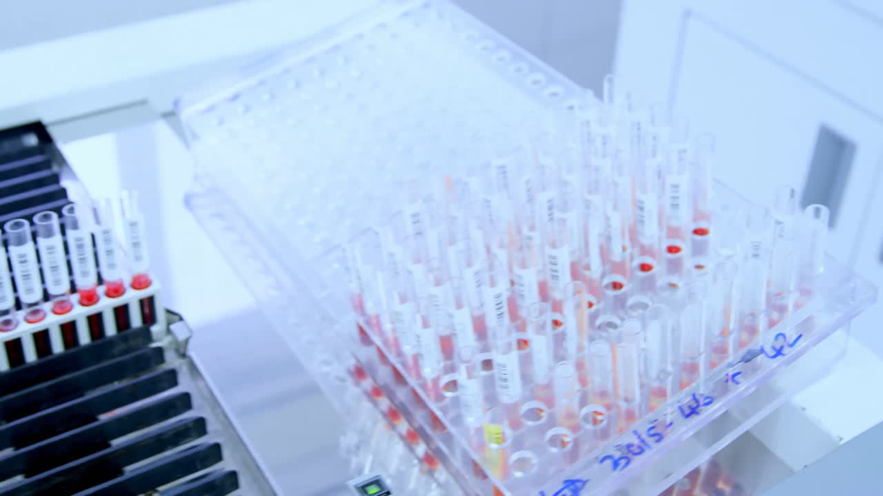 Test tubes with samples in a rack 4k