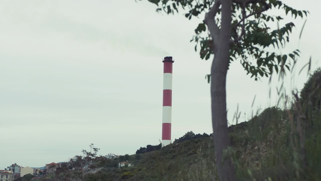fábrica chimenea estante enfoque árbol naturaleza en primer plano