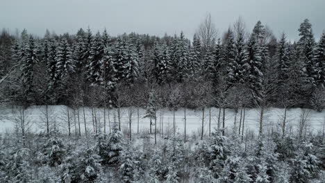 Toma-Aérea-De-Seguimiento-De-Una-Carretera-En-Medio-De-Un-Bosque-Nevado-En-Un-Día-Oscuro-Y-Nublado