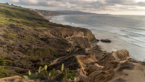 coastal view of torrey pines state natural reserve