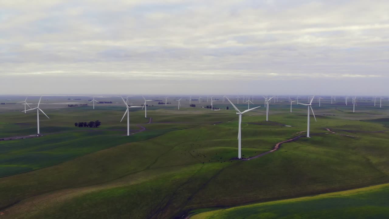 drone shot of windmills in a field