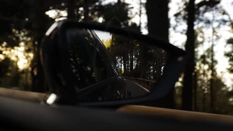 Vista-Del-Espejo-Lateral-Del-Coche-De-Conducir-A-Través-De-Un-Bosque-Durante-La-Noche,-Tenerife