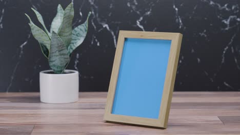 green screened picture frame on countertop with plant behind it