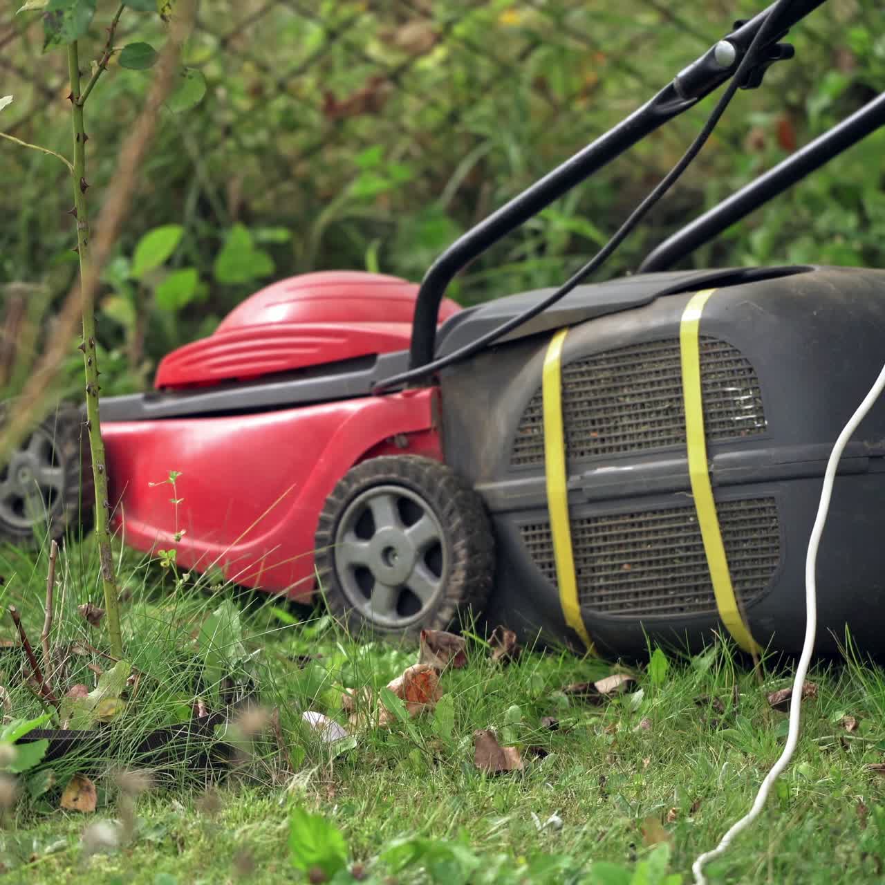 woman cutting grass in his yard with corded electric lawn mower.