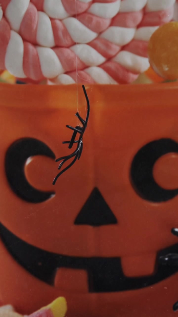 Spiders falling over in halloween pumpkin bucket filled with candies against white background