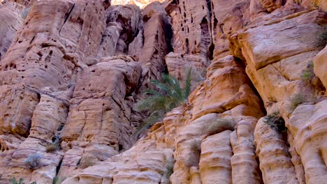 dramáticas formaciones rocosas rojas escarpadas y escarpadas de acantilados escarpados con plantas verdes resistentes que crecen en el duro entorno desértico de wadi ghuweir en jordania, oriente medio