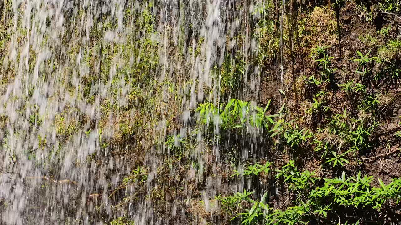 Steady daylight shot of waterfall streaming over moss-covered rocks and lush green plants