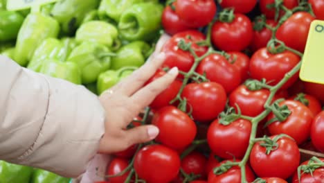 a hand reaches out to select ripe red tomatoes at a farmer's market.