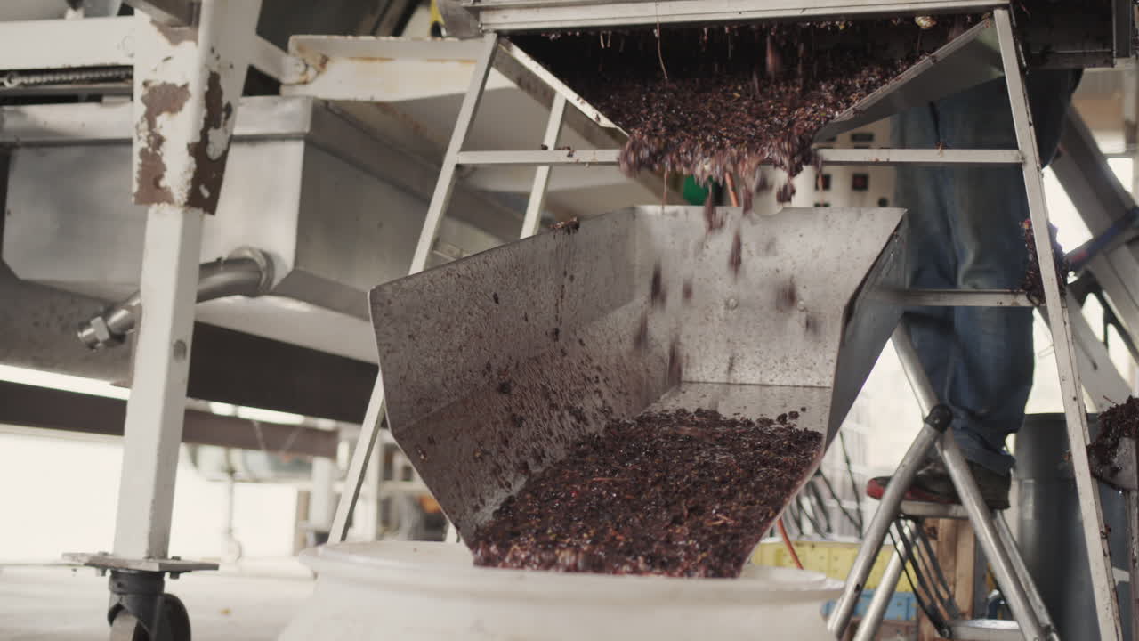 Raw materials for the manufacture of wine are fed through the chute into a large barrel. Work at a small family winery