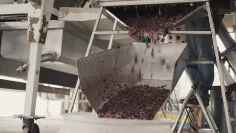 raw materials for the manufacture of wine are fed through the chute into a large barrel. work at a small family winery